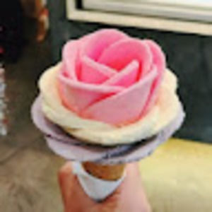 Meet your Posher, Ja